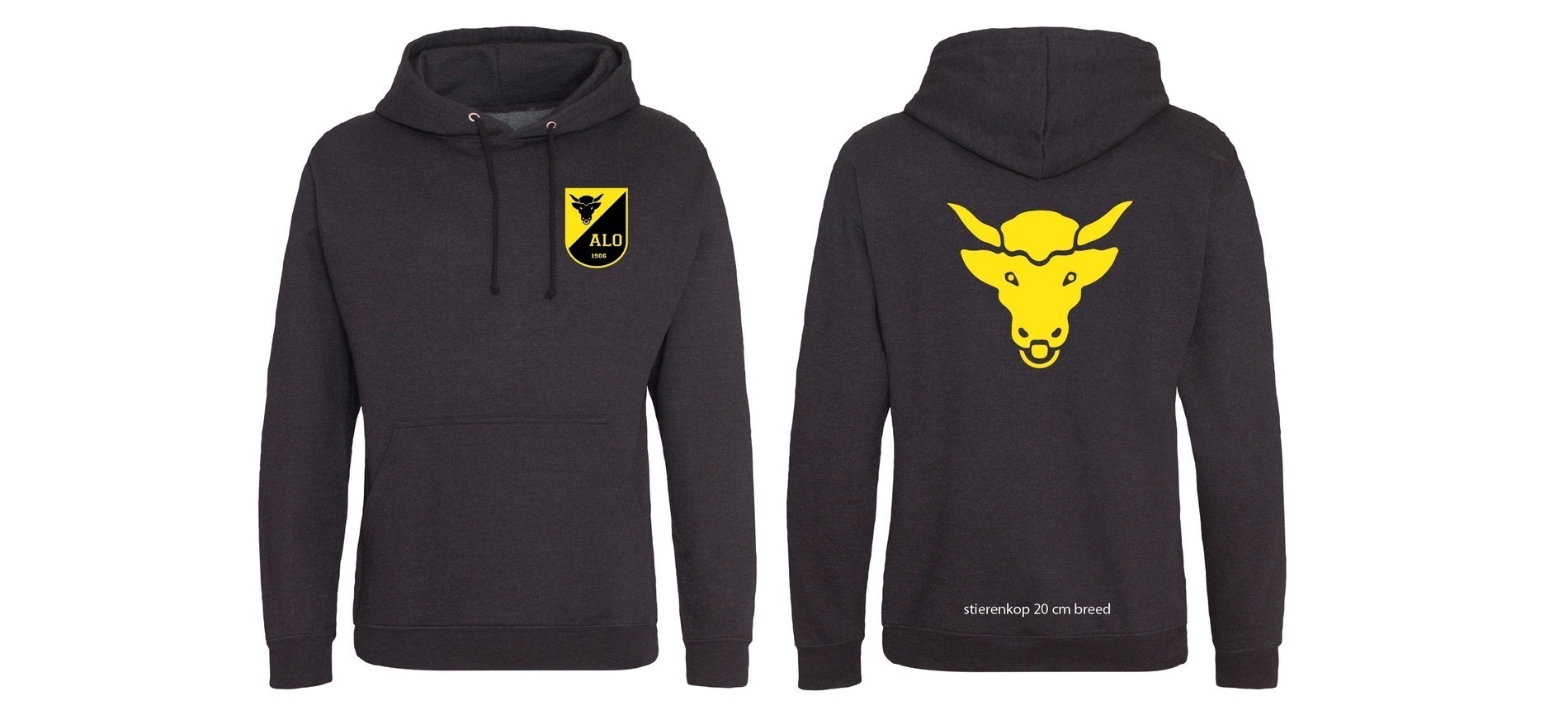 ALO Hoodie
